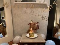 bullyn azteca bullyn azteca