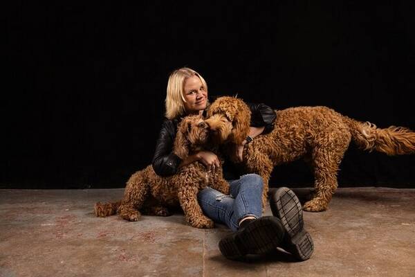 Hund - Labradoodles Frasse och Loke