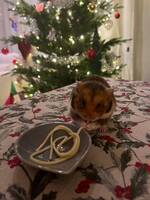 Guldhamstern Glenn Guldhamstern Glenn