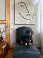 Taxen Svante Taxen Svante