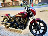 Indian Scout Rogue