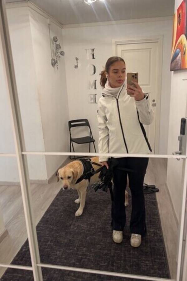 Hund - Collin  Hund - Collin