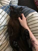 Burman Andy Burman Andy