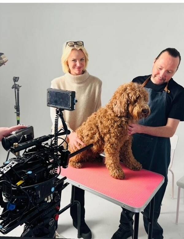 Hund - Labradoodles Frasse och Loke