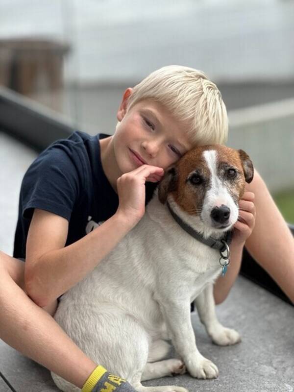 Hund - Gus - Jack Russel Terrier Hund - Gus - Jack Russel Terrier