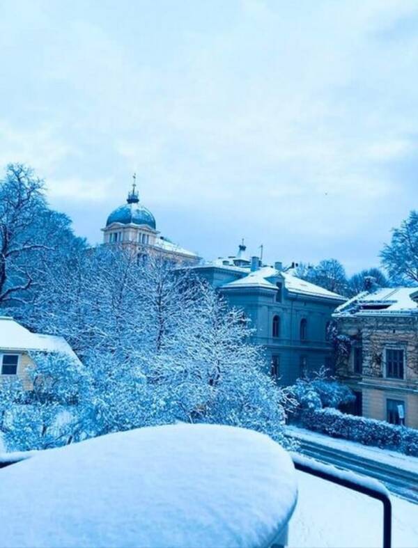 Leilighet - Lys og vakker leilighet, ved slottet Leilighet - Lys og vakker leilighet, ved slottet
