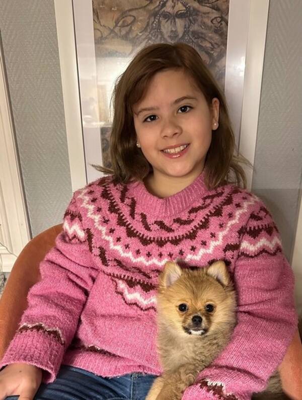 Hund - Bella Hund - Bella