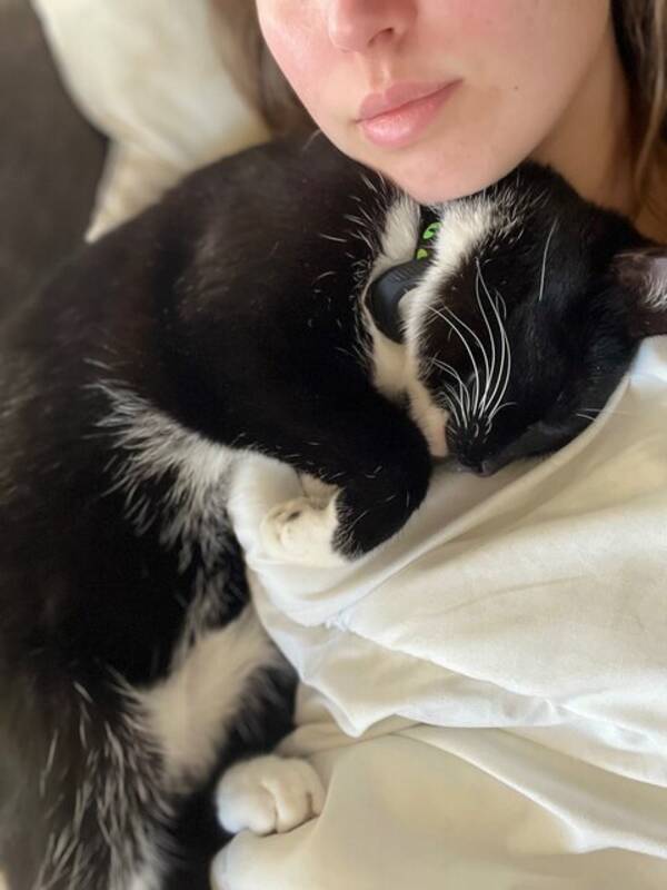 Katt - Lillen/Lilleman Katt - Lillen/Lilleman