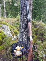 Utstyr til sommeraktiviteter Utstyr til sommeraktiviteter