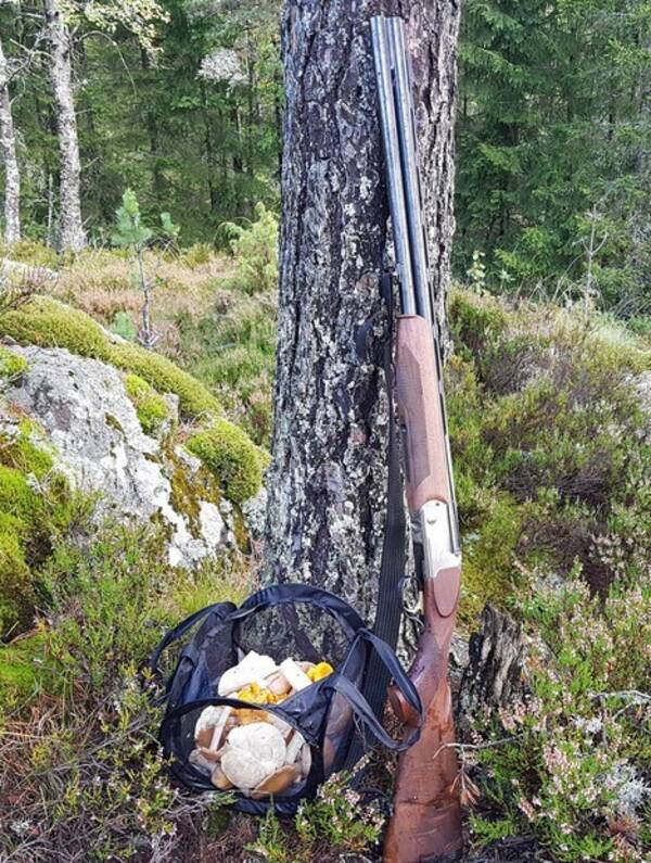 Revisitter - Utstyr til sommeraktiviteter Revisitter - Utstyr til sommeraktiviteter