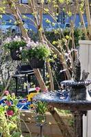 Baksidan av vår tomt Baksidan av vår tomt