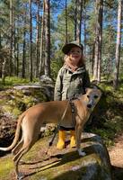 Elvin Whippet Elvin Whippet