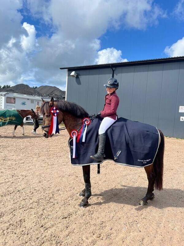 Annet - Irsk spotsponni-Carnhill Bertas Lad Annet - Irsk spotsponni-Carnhill Bertas Lad