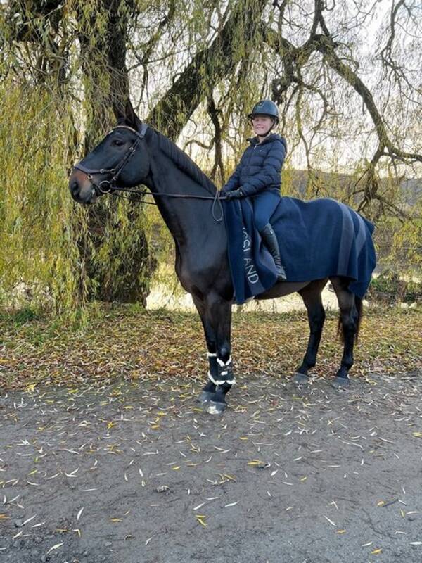 Annet - Irsk spotsponni-Carnhill Bertas Lad Annet - Irsk spotsponni-Carnhill Bertas Lad