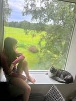 Ståtliga Mainecoon Snowie Ståtliga Mainecoon Snowie