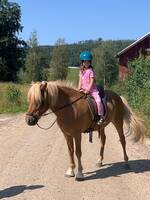 Häst som heter Marvin Häst som heter Marvin