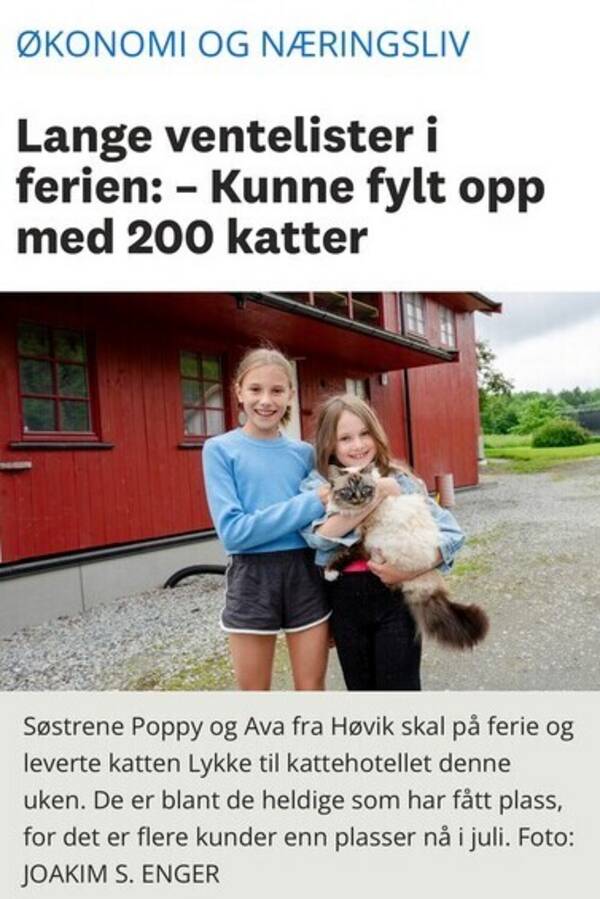 Katt - Lykke Katt - Lykke