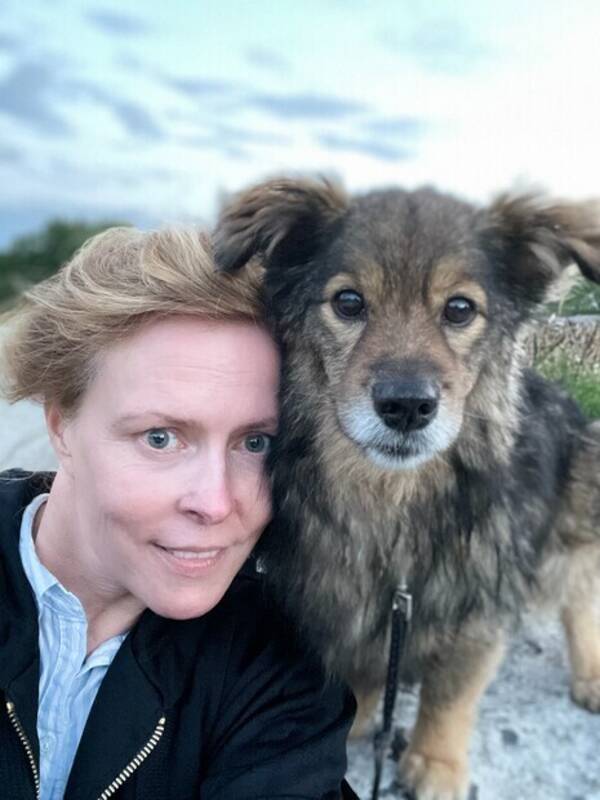 Hund - Morran, liten blandras Hund - Morran, liten blandras