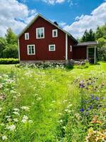 Stuga/hus på landet i Småländska skogen Stuga/hus på landet i Småländska skogen