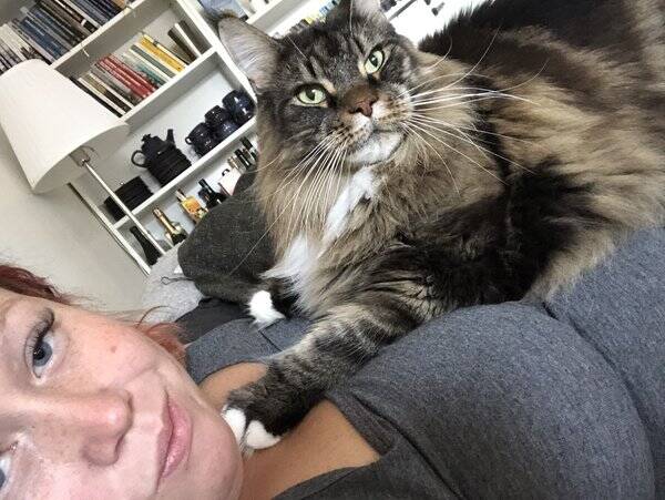 Katt Katt