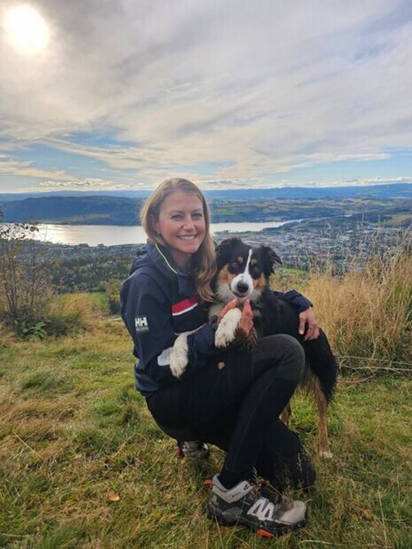 Hund - Gjeterhund Mix (Border Collie + Aussie) Hund - Gjeterhund Mix (Border Collie + Aussie)