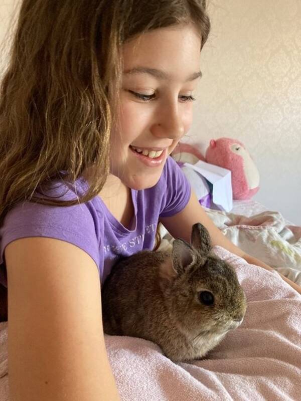 Övrigt - Katten Judy, kaninen Moonie Övrigt - Katten Judy, kaninen Moonie