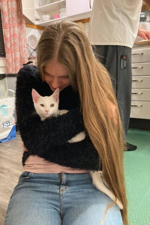 Övrigt - Katten Judy, kaninen Moonie Övrigt - Katten Judy, kaninen Moonie