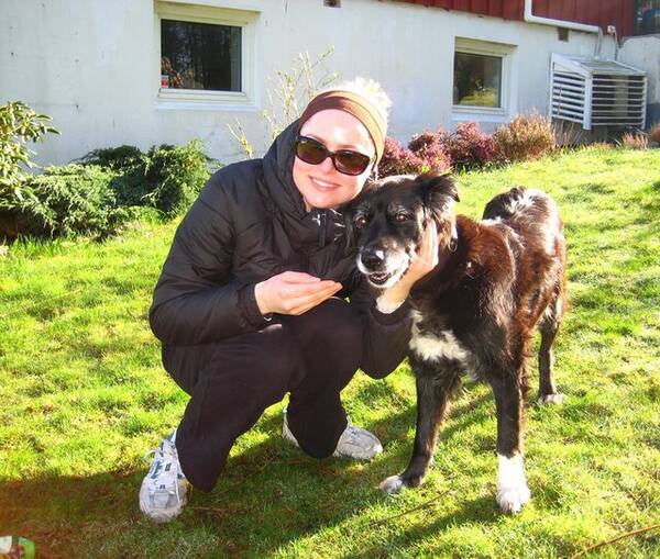 Annet - hest Annet - hest