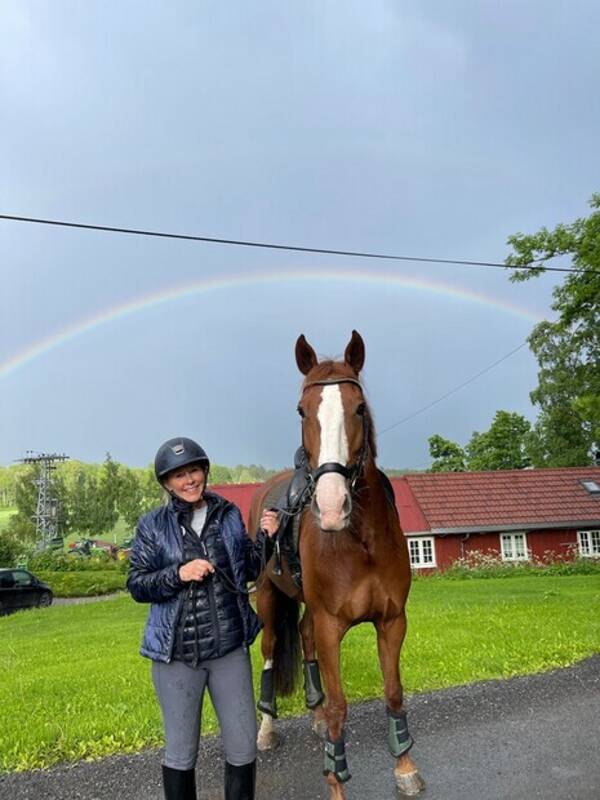 Annet - Hest, spansk  Annet - Hest, spansk