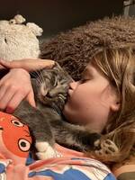 Katten Strumpan Katten Strumpan