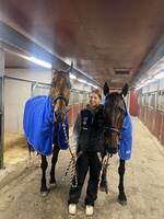 Hästarna Pax och Skywalker Diablo Hästarna Pax och Skywalker Diablo