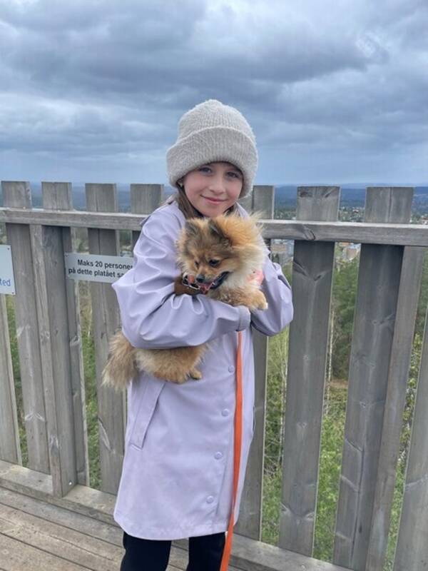 Hund - Pomchi Minnie Hund - Pomchi Minnie