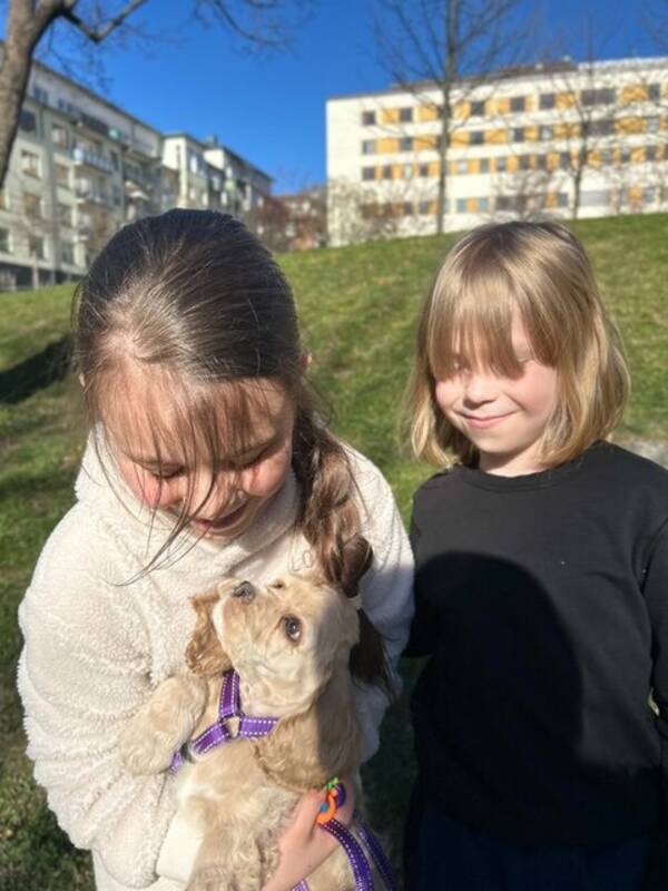 Hund - Valp Hund - Valp