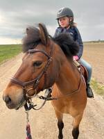 Ponnyn Flinta Ponnyn Flinta