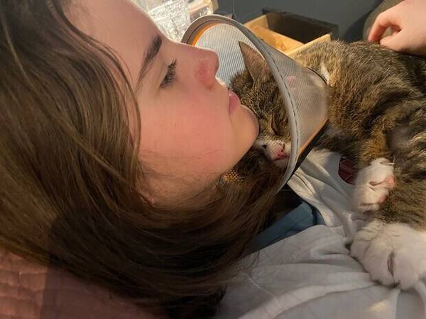 Katt - Prins Charles  Katt - Prins Charles