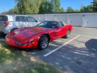 Vette