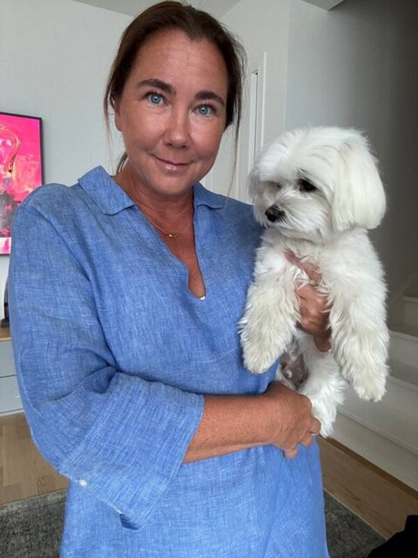 Hund - Maltesern Cooper Hund - Maltesern Cooper