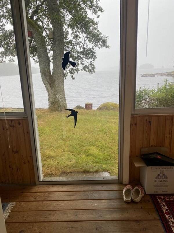 Sommarstuga - Sommarstuga med sjtomt i Hovmantorp