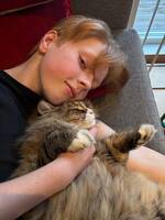 Katt