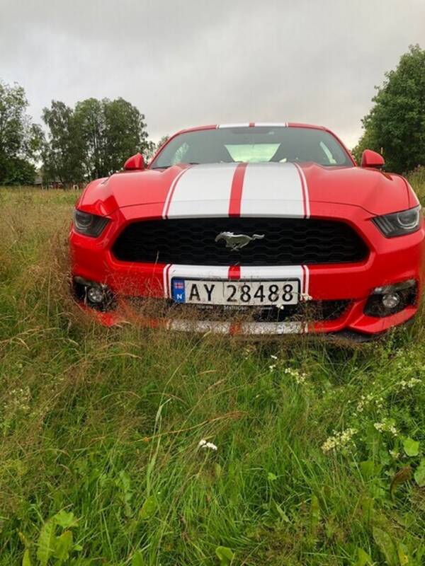 Kjøretøy - Ford Mustang 2015 Kjøretøy - Ford Mustang 2015