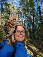 Phoebe en verdensvant Bengal mix  Phoebe en verdensvant Bengal mix