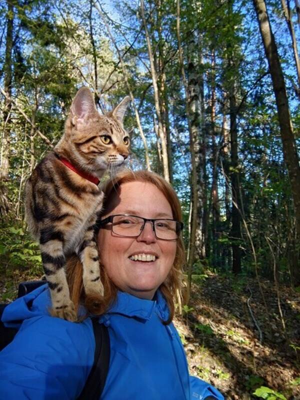 Katt - Phoebe en verdensvant Bengal mix  Katt - Phoebe en verdensvant Bengal mix