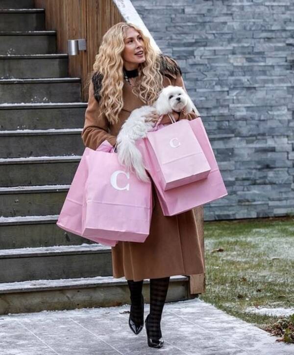 Hund - Maltesern Cooper Hund - Maltesern Cooper