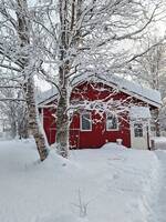 Mysigt hus i Åre kommun