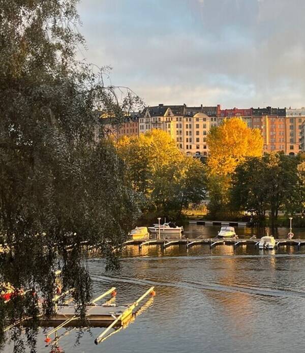 Lgenhet - Kungsholmen