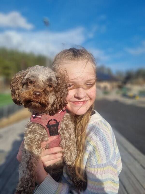 Hund - BOLONKA (Belle) Hund - BOLONKA (Belle)