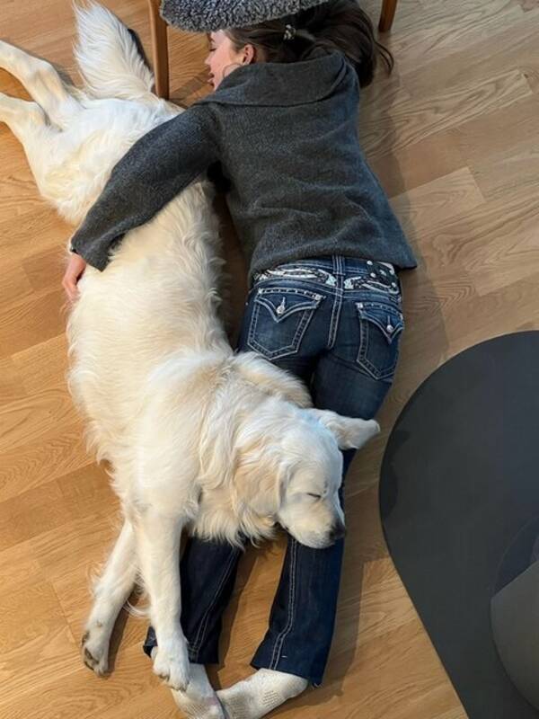 Hund - Vit golden retriever 