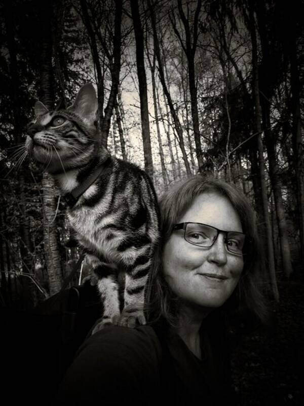 Katt - Phoebe en verdensvant Bengal mix  Katt - Phoebe en verdensvant Bengal mix