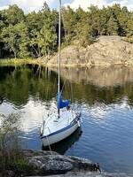 Segelbåt