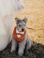 Pumin Hobbit Pumin Hobbit